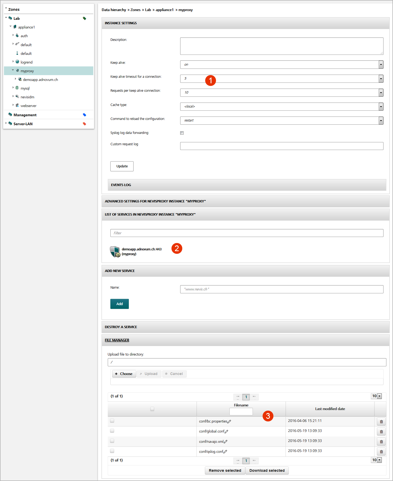 Sample nevisProxy instance view