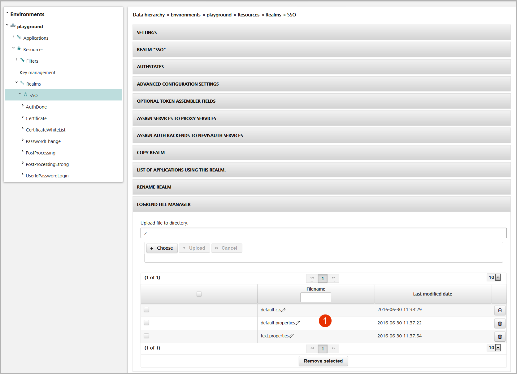 Login page documents within the realm view