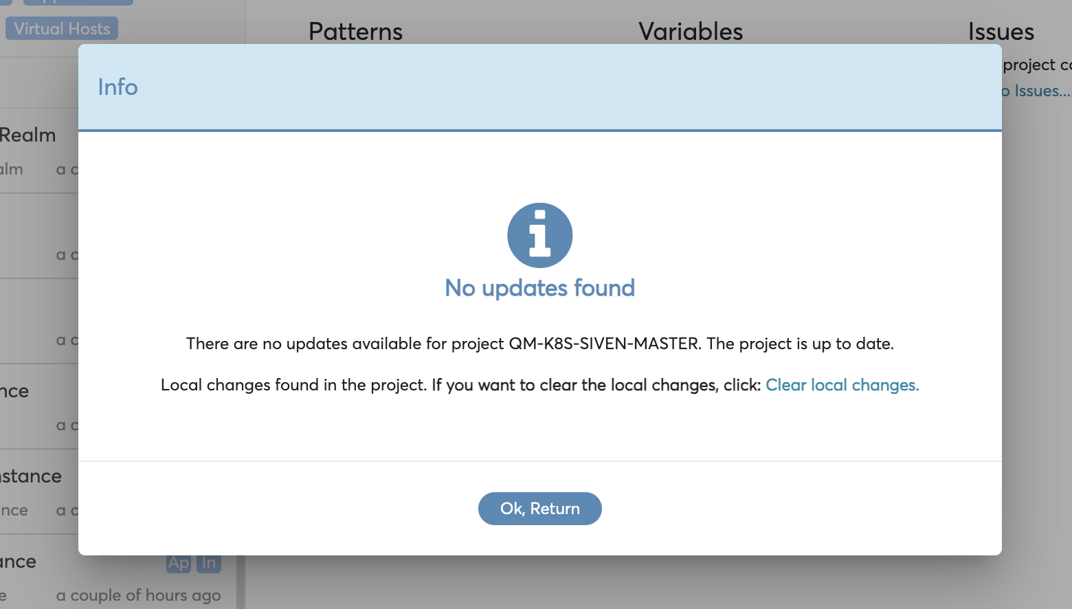 Update project flow - No remote changes*