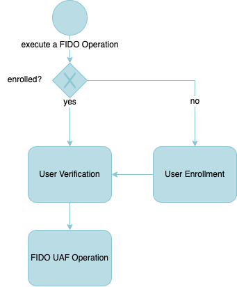 User verification flow