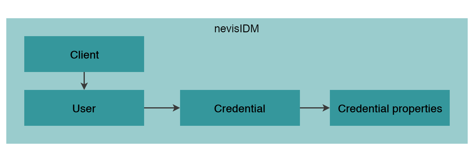 High level nevisIDM data model