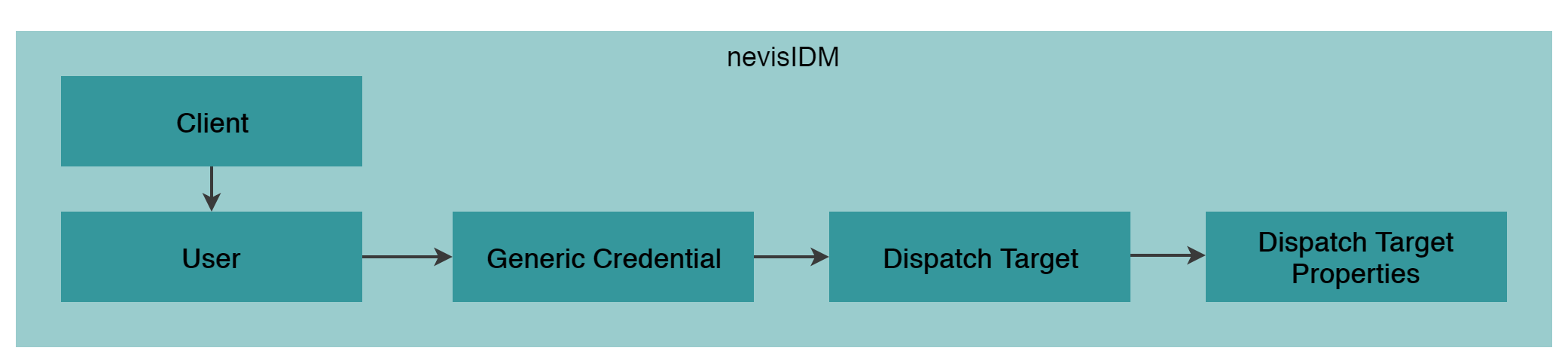 High level nevisIDM data model